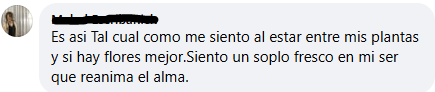 Captura15